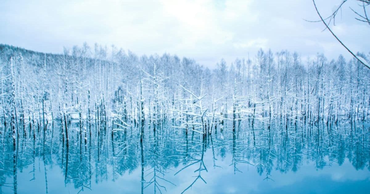 北海道のホームページ制作会社の特徴